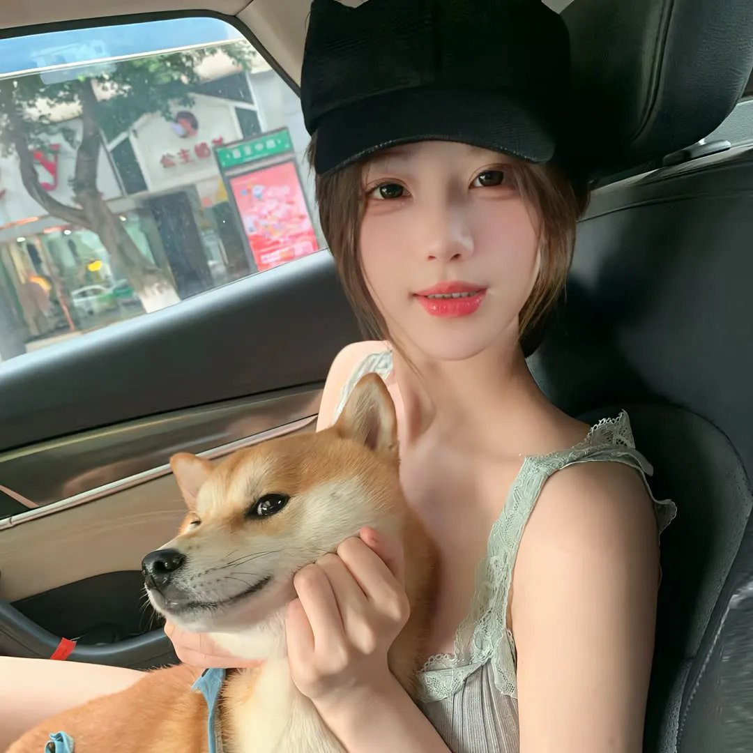 寻宝搭档第二季