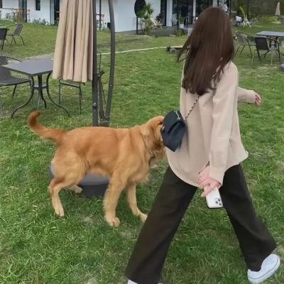 胯下运球